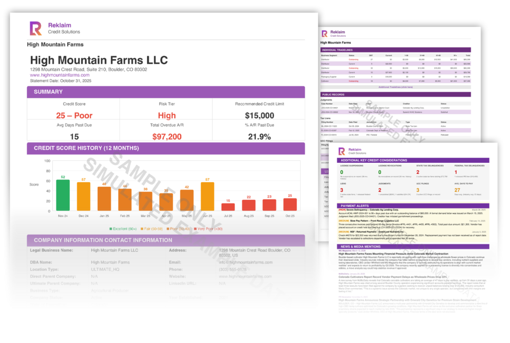 Sample Reklaim credit report